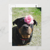 花かわいらしロットワイラー ポストカード (正面/裏面)