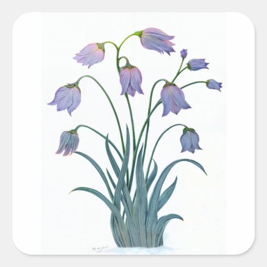 花かわいらし付き四角シール スクエアシール (正面)