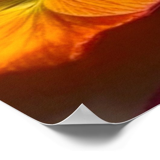 花かわいらし類 ポスター (角)