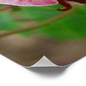 花かわいらし ポスター (角)