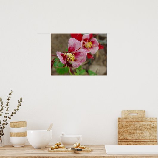 花かわいらし ポスター (キッチン)