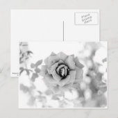 花かわいらし ポストカード (正面/裏面)