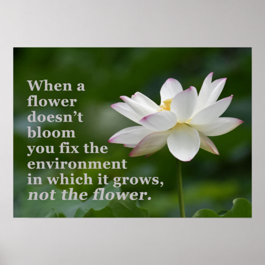 花がポスターを使わない場合 ポスター (正面)