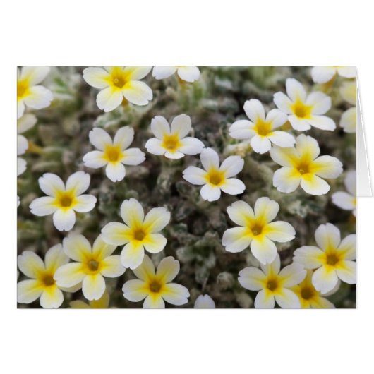 花が付いているカード (正面横)