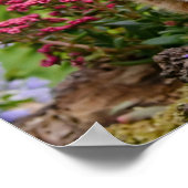 花が咲いた庭の可愛遊い生姜の子猫 ポスター (角)