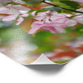 花が咲くりんごの木の細い枝 フォトプリント (角)