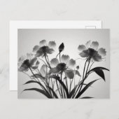 花が咲くエレガントなコスモス ポストカード (正面/裏面)