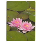 花が咲くスイレンの花 クリップボード (裏面)
