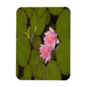 花が咲くスイレンの花 マグネット (縦)