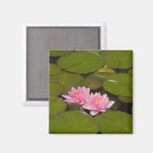 花が咲くスイレンの花 マグネット (正面/裏面)
