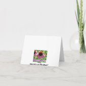 花が咲くピンクの花 カード (裏面)