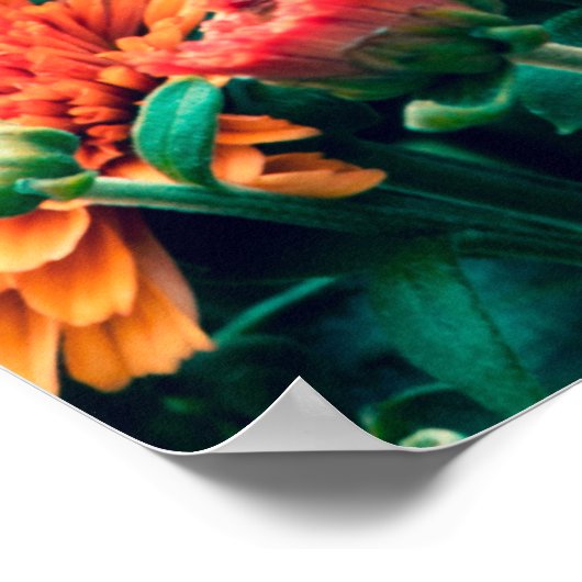 花が咲く庭の秋、背景。 ポスター (角)