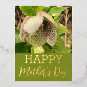 花が咲く母の日実在金ゴールド 箔シーズンポストカード (正面)