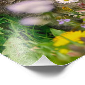 花が咲く草原でキュートなメインのクーンキッテン猫 –  フォトプリント            (角)