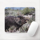 花が咲く間にあくびをするコラーペッカリー（やぶりな） マウスパッド (マウス)