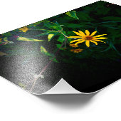 花が咲く フォトプリント            (角)