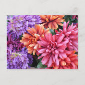 花が咲く ポストカード (正面)