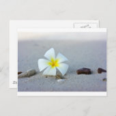 花が浜に ポストカード (正面/裏面)