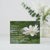 花が開花しない場合 ポストカード (スタンド正面)