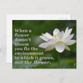 花が開花しない場合 ポストカード (正面/裏面)