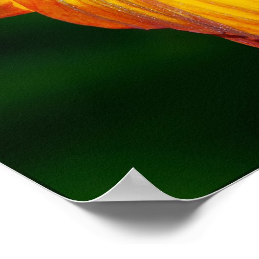 花が開花しない時… ポスター (角)