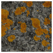 花こう岩の写真の生地の地衣 ファブリック (クローズアップ)