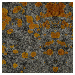 花こう岩の写真の生地の地衣 ファブリック