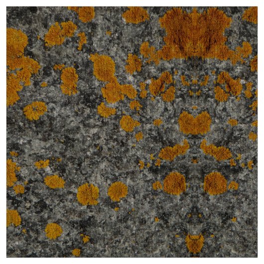 花こう岩の写真の生地の地衣 ファブリック (見本)