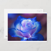 花つる植物花弁バラ花フラワーブルーラブ ポストカード (正面/裏面)