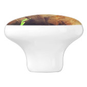 花でポーズをとるシャム猫 セラミックノブ (側面)