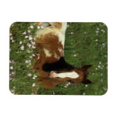 花で倒れるアパロオーサの花 マグネット (横)