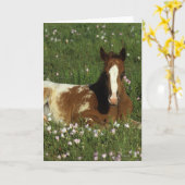 花で置いているAppaloosaの子馬 カード (黄色い花)