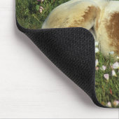 花で置いているAppaloosaの子馬 マウスパッド (コーナー)