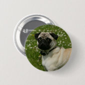 花で遊ぶパグ 缶バッジ (正面&裏面)
