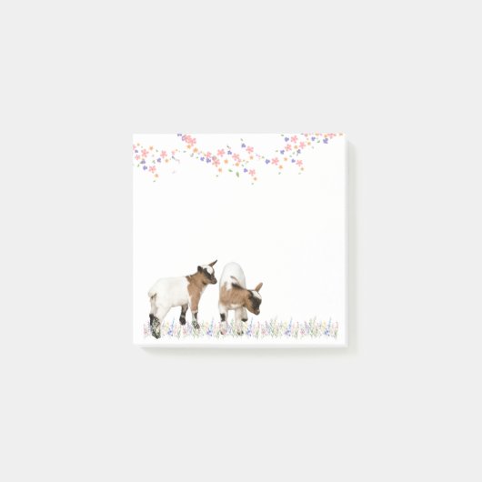 花とかわいい子ヤギ♡ ポストイット (正面)