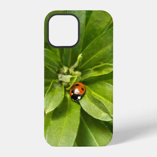 花とテントウムシ iPhoneケース (裏面)