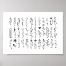 花とハーブのインクスケッチ