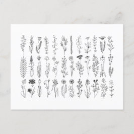 花とハーブのインクスケッチ ポストカード