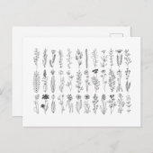 花とハーブのインクスケッチ ポストカード (正面/裏面)