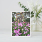 花とポフランスのスター ポストカード (スタンド正面)