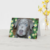 花とラブラブルパピー / ペットの犬の写真 カード (黄色い花)