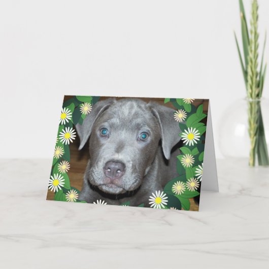 花とラブラブルパピー / ペットの犬の写真 カード (正面)