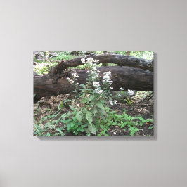 花とログキャンバスの包まれたプリント キャンバスプリント