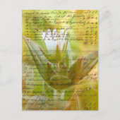 花とヴィンテージスクリプト ポストカード (正面)