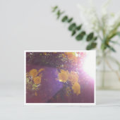 花と光 ポストカード (スタンド正面)