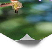 花と共に飛んでいるハチドリ二羽 ポスター (角)