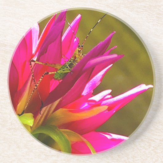 花と友人コースター コースター (正面)