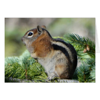 花と可愛いチムンク