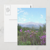 花と山 ポストカード (正面/裏面)