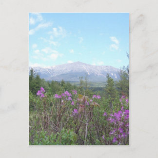 花と山 ポストカード